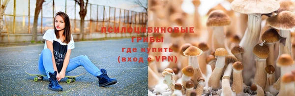 амф Снежинск