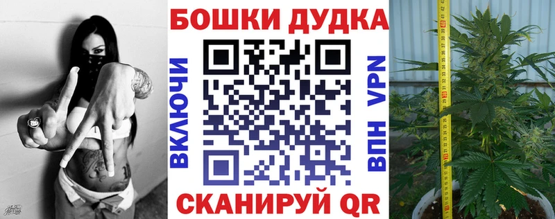 Марихуана индика  Кириллов 